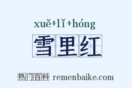 雪里红是什么意思的图片
